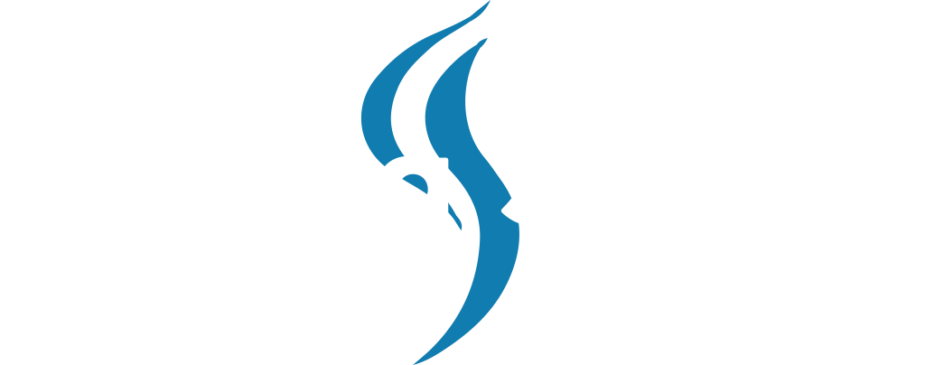 cooling source design logo big